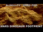 Large Dinosaur Footprint on Mars: NASA Curiosity Animal Specimens.