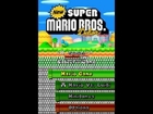 New Super Mario Bros. Deluxe: 