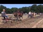 American Thresherman Association  - Horse Plowing