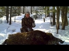 Russian Boar Hunts - Alpha Boar Louisiana