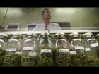 World's First State-licensed Marijuana Retailers Open Doors in Colorado