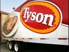Tyson Foods Dumps Pig Farm After Video Shows Animal Abuse