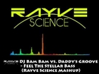 DJ Bam Bam vs Daddy's Groove - Feel The Stellar Bass (Rayve Science Mashup)