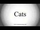 How to Pronounce Cats
