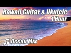 HAWAIIAN MUSIC Instrumental Study Playlist Classical Guitar Island Music for Studying Ukulele Hawaii