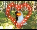 Best wedding video ever