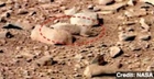 Does This Photo Show Signs of Life on Mars?