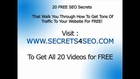 search engine optimisation with video