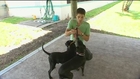 Dog trainer criticized for his methods